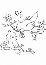 Birds Printable Coloring Pages  Handy Materials sketch template