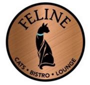 Feline Cats Bistro Lounge | Tampa FL