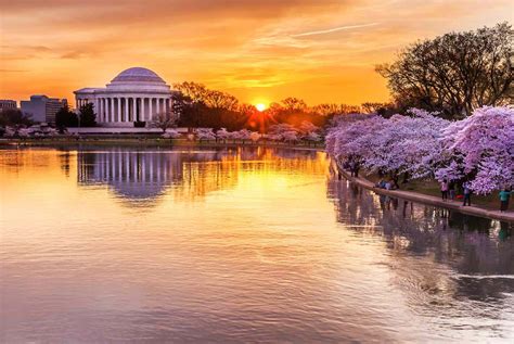 What to Do in April in Washington, DC