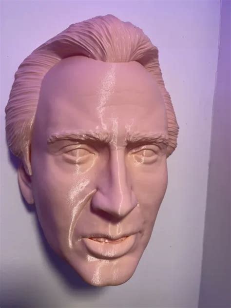 LIFE SIZE NICOLAS Cage Head 3D Printed Wall Mounted Bust Decoration $92.97 - PicClick