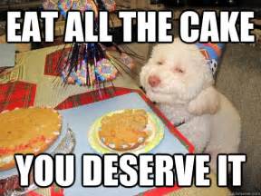 EAT ALL THE CAKE You deserve it - birthday meme - quickmeme