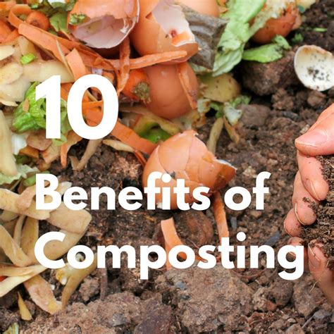 Why Should You Compost? (10 Benefits of Composting) – Gaia Guy