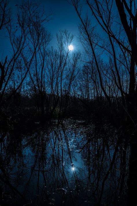 Blue Moonlight | Night time photography, Moonlight photography, Moonlight