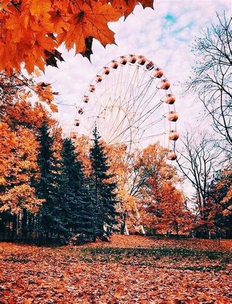 autumn aesthetic wallpaper, autumn aesthetic background, autumn aesthetic, cozyautumn aesthetic ...