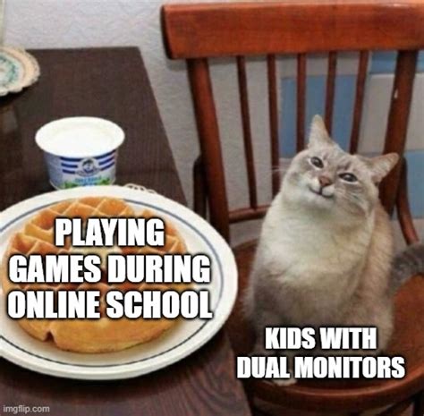 ONLINE KIDS WITH DUAL MONITORS BE LIKE - Imgflip