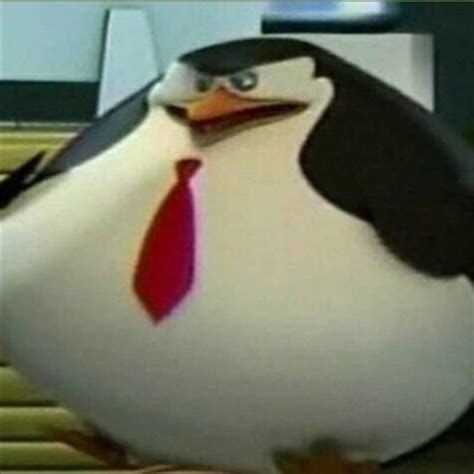 fat penguin Blank Template - Imgflip