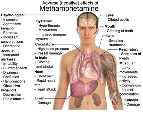 Can Meth Cause Psychosis