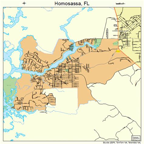 Homosassa Florida Street Map 1232375