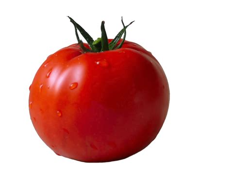 Tomato transparent PNG - StickPNG
