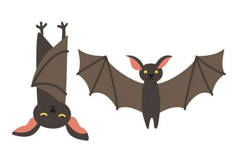 Cute Bat Animals Vector Illustration Graphic by namanyastudios ...