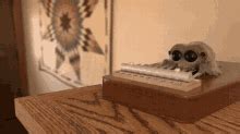 Lucas The Spider GIF - Lucas The Spider - Discover & Share GIFs