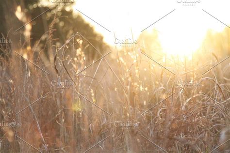 Irish Wheat Fields #Sponsored , #AFFILIATE, #walk#deserted#Post# ...