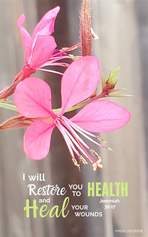 God's Promise of Health and Healing