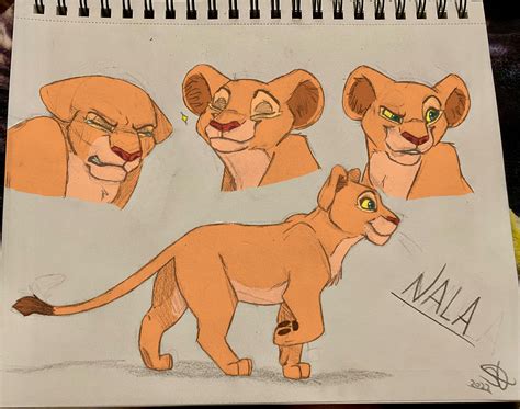 Cub Nala Sketch Page by StormySkies11 on DeviantArt