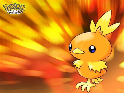 Torchic Wallpapers - Wallpaper Cave