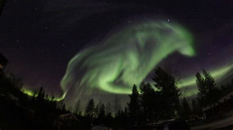 This Photographer Was Snapping The Northern Lights When Suddenly A ...