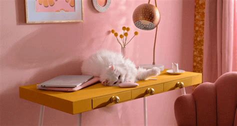 Cat Pushing Glass Off Table Gif / Cat Knocking Things Off Table Meme ...