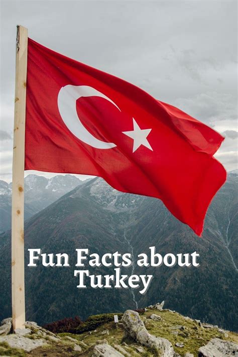 14 Interesting Facts about Turkey | Blog | Travel With Mansoureh