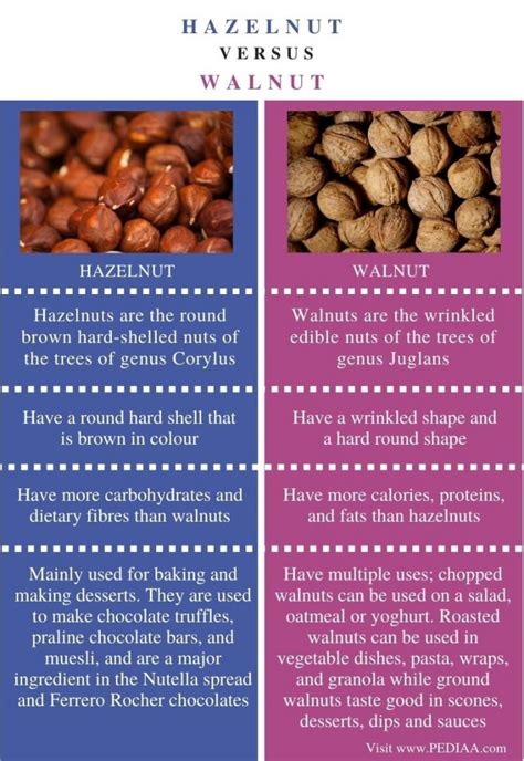 What is the Difference Between Hazelnut and Walnut - Pediaa.Com