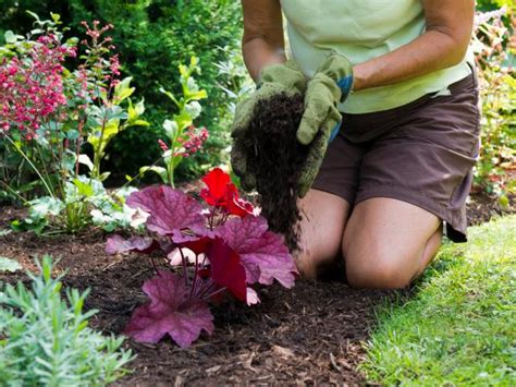 Summer Gardening Ideas & Tips | HGTV