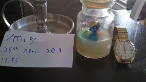 Horse News: "Science Experiment" goes terribly wrong - Meet the "Jar Project"