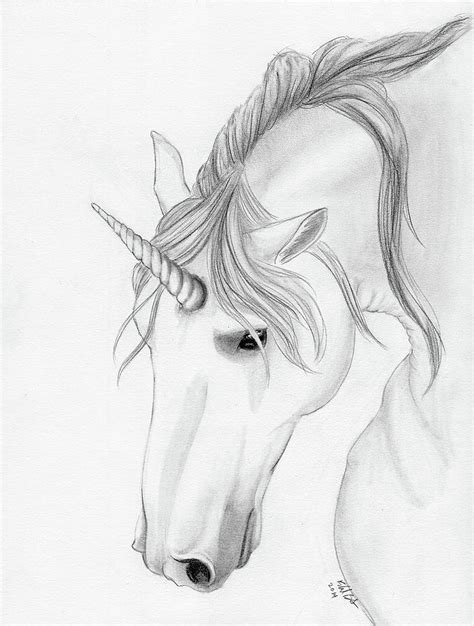 Unicorn Pencil Drawing at PaintingValley.com | Explore collection of Unicorn Pencil Drawing