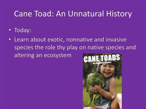 PPT - Cane Toad: An Unnatural History PowerPoint Presentation, free ...