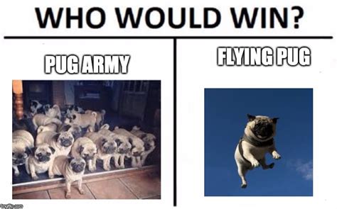 Who Would Win? Meme - Imgflip