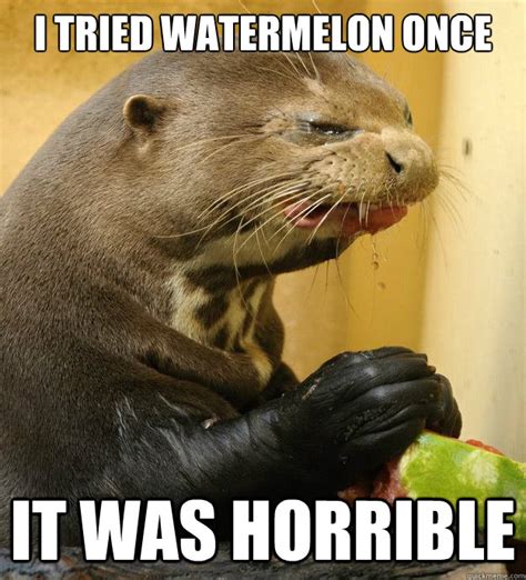 I Tried Watermelon once it was horrible - Sourpuss otterpants - quickmeme