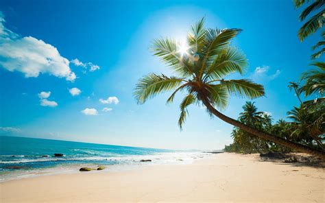 Wallpaper Palm tree, beach, sea, sun rays, tropical, blue sky 2880x1800 HD Picture, Image