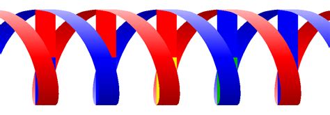 Drawing a DNA/SNP genome double helix in TikZ - TeX - LaTeX Stack Exchange