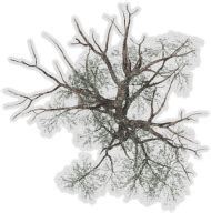 trees plan for photoshop graphic download - architectural tree png pla PNG image with ...