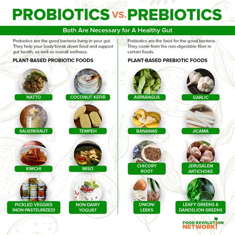 Why You Need Both Probiotics and Prebiotics for Good Gut Health and Overall Wellness (Plus The ...