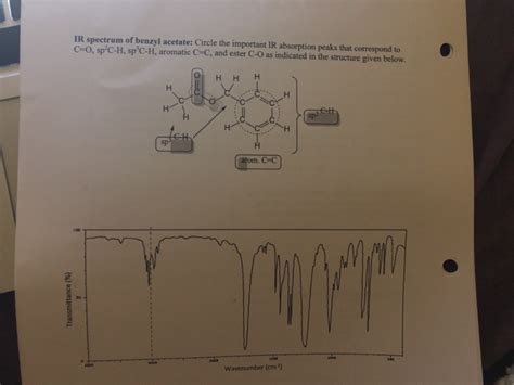 Solved IR spectrum of benzyl acetate: Circle the important | Chegg.com