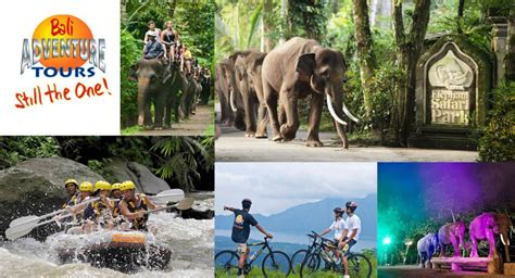 Bali Adventure Tours is an adventure company