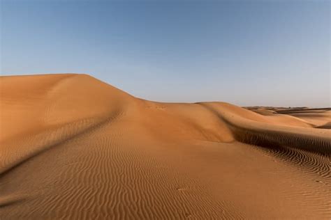 Sharjah Desert Park: A First Time Explorer's Guide