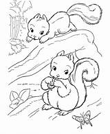 Squirrel Coloring Pages For Preschool  Home sketch template