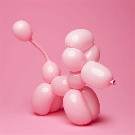 705d676b86e75e7e5edc2e photography inspiration Barbie Painting, Ballon Animals, Types Of ...