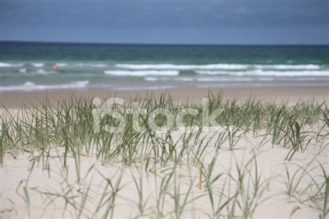 Burleigh Heads Beach - Gold Coast Stock Photo | Royalty-Free | FreeImages