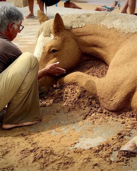 Amazingly Realistic Animal Sand Sculptures Come Alive on Shore | LaptrinhX / News