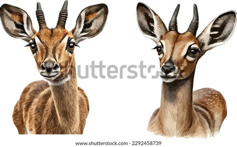 Antelope Clipart Isolated Vector Illustration Stock Vector (Royalty ...