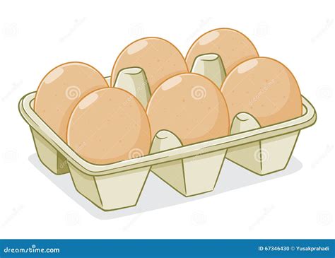 Vector Illustration of Eggs in a Carton Stock Vector - Illustration of dairy, farm: 67346430