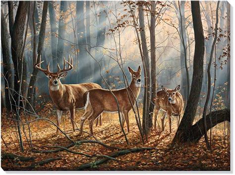The Art of Deer | Deer art, Wildlife art, Deer painting