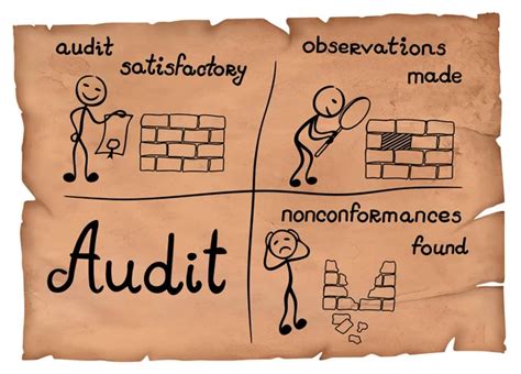 Internal Audit Cartoon