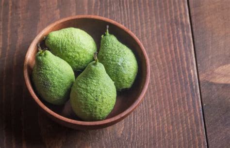 Green Walnuts: Harvesting, Cooking and Recipes - Forger | Chef