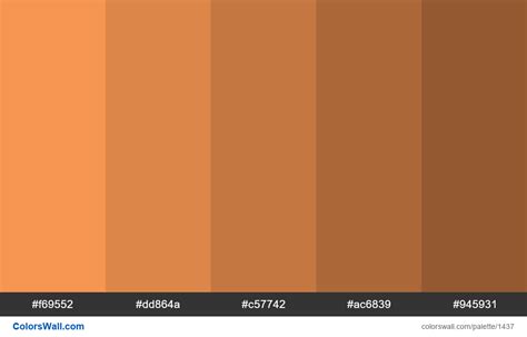 Pastel orange shaded 5 colours. HEX colors #f69552, #dd864a, #c57742, # ...