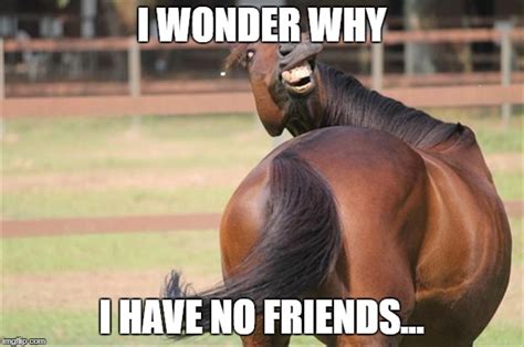 funny horse - Imgflip