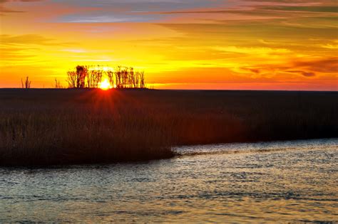 Bombay Hook National Wildlife Refuge | Stephen L Tabone Nature Photography