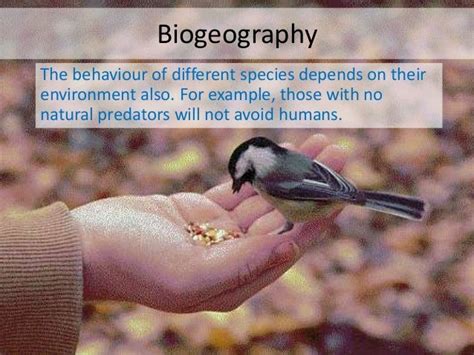 02 evidence of evolution biogeography