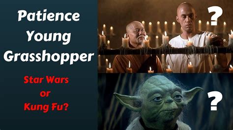 Patience Young Grasshopper Quote Origin - Star Wars? or Kung Fu? - YouTube